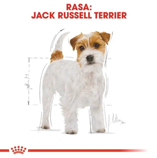 Royal Canin Jack Russell Terrier Adult - Пълноценна суха храна за джак ръсел 1.5 кг